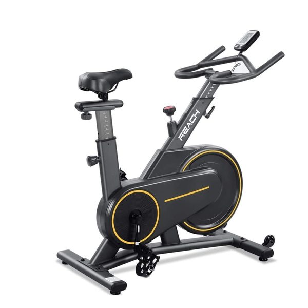 Buy Reach Cruiser Spin Exercise Bike for at Home Fitness Indoor